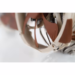 Noctua NH-D15 computer cooling system Processor Cooler 14 cm Beige, Brown, Steel - Additional view 6