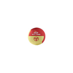 Voit&#174; Budget Volley Trainer
