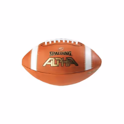 Spalding WC726758 Alpha Official Size Football