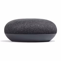 Google Home Mini