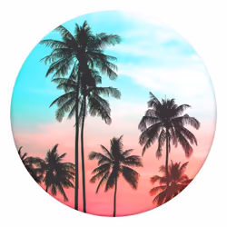 PopSockets 801219 mobile phone case accessory