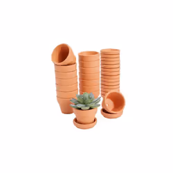 5x4 cm 16-Pack Small Terra Cotta Mini Pots with Saucers and Drainage Hole, Paintable Pottery for Succulents, Plants, Flowers, ...