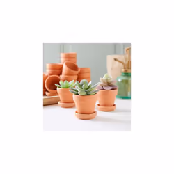 5x4 cm 16-Pack Small Terra Cotta Mini Pots with Saucers and Drainage Hole, Paintable Pottery for Succulents, Plants, Flowers, Cactus, Garden Nursery,
