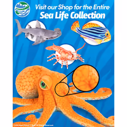 Real Planet Sea Life Plush - Realistic Stuffed Animal Gift for Kids All Ages  Ocean Marine Creature Plushie  Fun Christmas Birthday Gifts (K