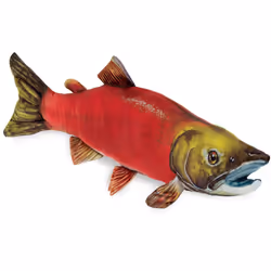 Real Planet Fishing Stuffed Animal - Sockeye Salmon Trout Bass Plush Stuffed Toy for Kids Fishing Gifts for Men Plush Fresh ...