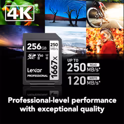 Lexar 256GB Professional 1667x SDXC Memory Card  UHS-II  C10  U3  V60  Full-HD & 4K Video  Up To 250MB/s Read  for Professional Photographer  Videogra