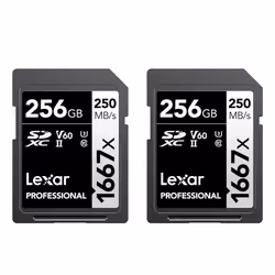 Lexar 256GB (2-Pack) Professional 1667x SDXC Memory Cards UHS-II C10 U3 V60 Full-HD & 4K Video Up To 250MB/s Read for ...