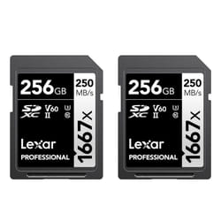 Lexar 256GB (2-Pack) Professional 1667x SDXC Memory Cards  UHS-II  C10  U3  V60  Full-HD & 4K Video  Up To 250MB/s Read  for Professional Photographer