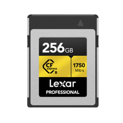 Lexar CFexpress Type B 256 GB