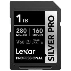 Lexar 1TB Professional Silver PRO SDXC Memory Card  UHS-II  C10  U3  V60  Full-HD & 4K Video  Up to 280MB/s Read  For Professional Photograp