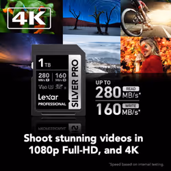Lexar 1TB Professional Silver PRO SDXC Memory Card  UHS-II  C10  U3  V60  Full-HD & 4K Video  Up to 280MB/s Read  For Professional Photograp