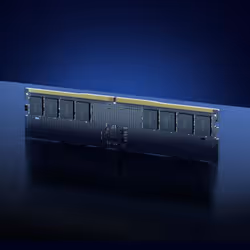 Lexar LD5U16G56C46ST-BGS memory module 16 GB 1 x 16 GB DDR5 5600 MT/s 262-pin SO-DIMM - Additional view 4
