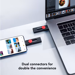 Lexar JumpDrive Dual Drive D300 USB flash drive 256 GB USB Type-A / USB Type-C 3.2 Gen 1 (3.1 Gen 1) Black