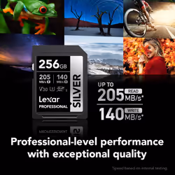 Lexar 256GB Professional Silver SDXC Memory Card  UHS-I  C10  U3  V30  4K Video  Up to 205/140 MB/s Read/Write  for Professional Photographe