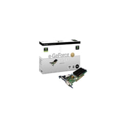 EVGA 256P1N399LX eGeForce 6200 256MB DDR2 PCI Graphics Card