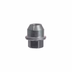 Ford NUT - Wheel