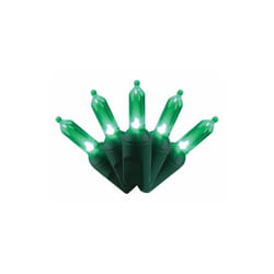 Celebrations 9086330 25 ft. Platinum LED T5 String Christmas Lights, Green - 50 Count