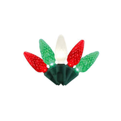 Celebrations 9086403 25 ft. Platinum LED C6 String Christmas Lights, Red, Green & Pure White - 50 Count