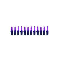 Celebrations 9086857 LED T5 Halloween Lights, Purple - 100 Count