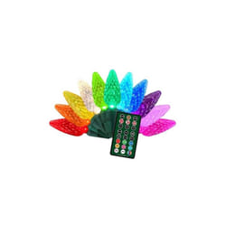 Celebrations 9097091 25 Count Platinum LED C9 RGBW String Christmas Lights