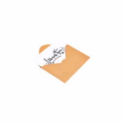 Thank You Cards and Envelopes, 48 Count, Black/White