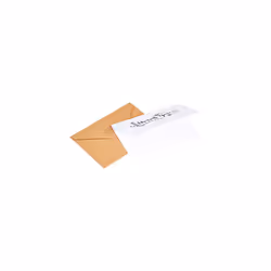 Thank You Cards and Envelopes, 48 Count, Black/White