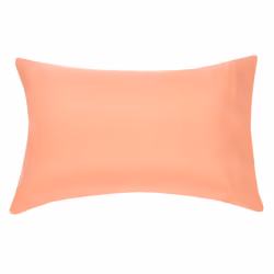 Amazon Basics Full/Queen Comforter Set with Sheets  5-Piece Coral Medallion Bedding  Lightweight Microfiber Bed-in-a-Bag