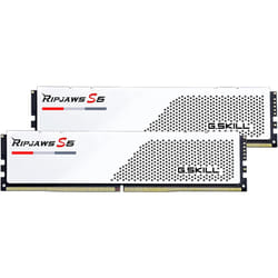 MEM 2*32G|GSK F5-5600J3036D32GX2-RS