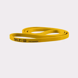 SKLZ APD-PBDLT-04
