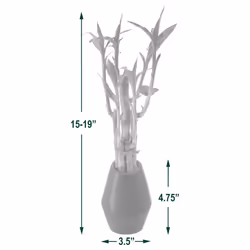 Arcadia Garden Products 5-Stem Lucky Bamboo  Live Indoor Plant in Dimension II Ceramic Planter for Home  Work  or Gift  Black ***Cannot Ship to Hawaii