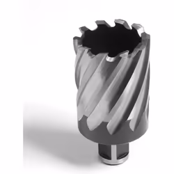 Evolution Power Tools CC40ML Long Series Broaching Cutter, 40 x 50 mm