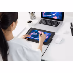 XPPen XP-Pen Artist 12 2nd Gen graphic tablet Black, Blue, Green, Pink 5080 lpi 263.23 x 148.07 mm USB - Additional view 5
