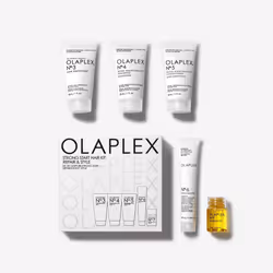 Strong Start Hair Kit: Repair  Style