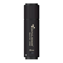 DataLocker Sentry One Encrypted FIPS 140-2 Level 3 128GB Flash Drive
