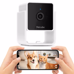 Petcube Cam Indoor Wi-Fi Pet and Security Camera with Phone App, Pet Monitor with 2-Way Audio and Video, Night Vision, 1080p ...