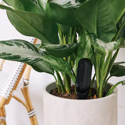 Canary Stake Mount for Flex