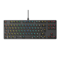 Glorious Gaming The Glorious GMMK-TKL keyboard USB Black