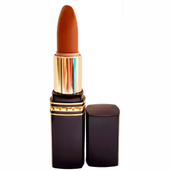 Elizabeth Arden Lip Spa Lipstick-4 g