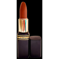 Elizabeth Arden Lip Spa Lipstick-4 g