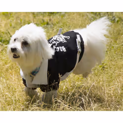 Petlife 34BKMD M Black, White Cotton, Fabric Dog Coat