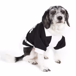 Petlife 34BKMD M Black, White Cotton, Fabric Dog Coat