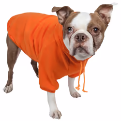 Petlife HD1ORXS, Dog, Sweater, XS, Orange, Cotton, Any breed