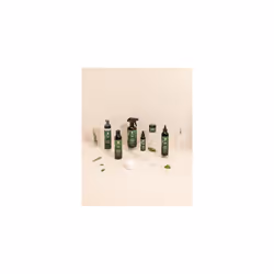 ROSEMARY OIL STYLING MOUSSE 8oz