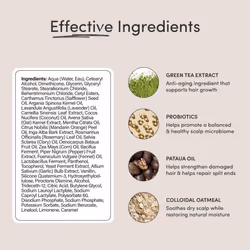 Jupiter Physician-Formulated Scalp Balancing Conditioner For Dry  Itchy  Oily  Flaky Scalp  Sulfate Free  Natural Fragrance - Vegan - Color Safe & Par