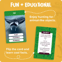 National Geographic - Outdoor Scavenger Hunt Card Game for Kids 4 & Up - Fun Summer & Outside Activity - Gifts for Boys & Girls Ages 4  5  6  7  8  9