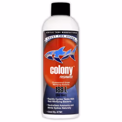 ATM Colony Freshwater: Nitrifying Cycle Bacteria - 237ml