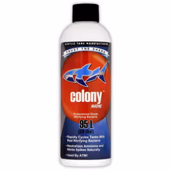 ATM Colony Marine: Nitrifying Cycle Bacteria - 237ml