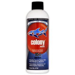 ATM Colony Marine: Nitrifying Cycle Bacteria - 237ml
