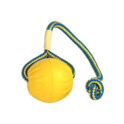 Starmark Swing & Fling DuraFoam Fetch Ball