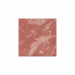 Hourglass Ambient Lighting Blush in Mood Exposure. Vibrant Powder Highlighting Blush. Vegan and Cruelty-Free.